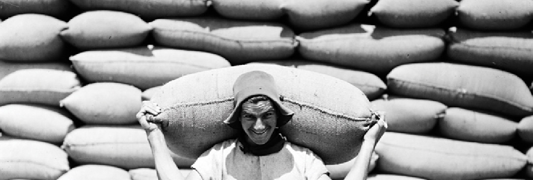 Black and white image of wheat carrier